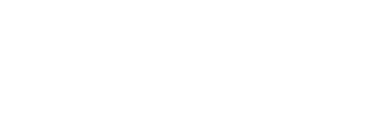 partenaires-blanc_point-p